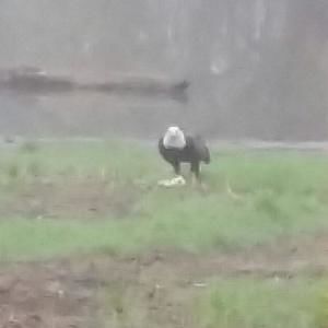 Meet your Posher, Debra